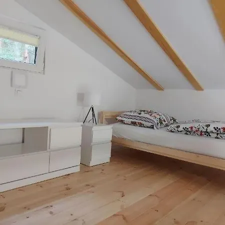 Pod Plugiem Prázdninový dům *